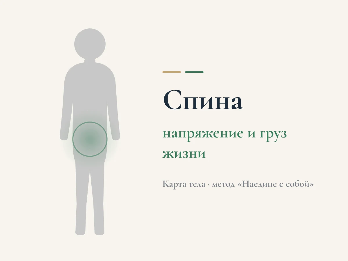 Спина — напряжение и груз жизни. Схема «карта тела» метода «Наедине с собой»
